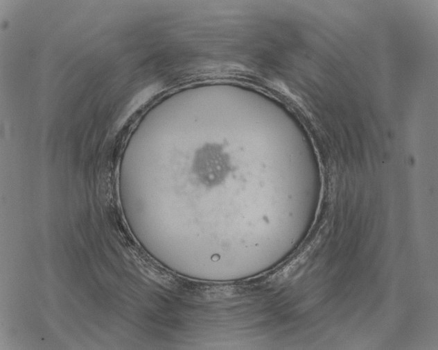 X0000070341211200606301732