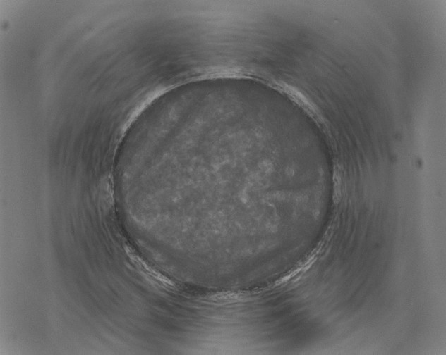 X0000070341212200606301732