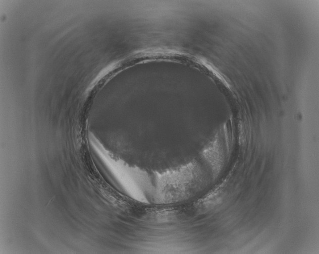 X0000070341213200606301732