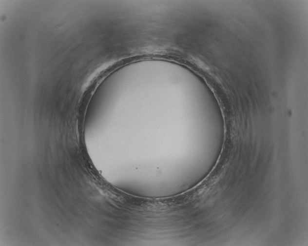 X0000070341214200606301732