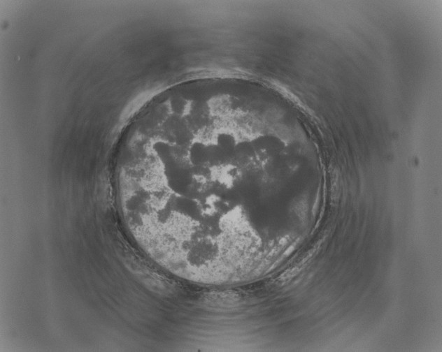 X0000070341215200606301732