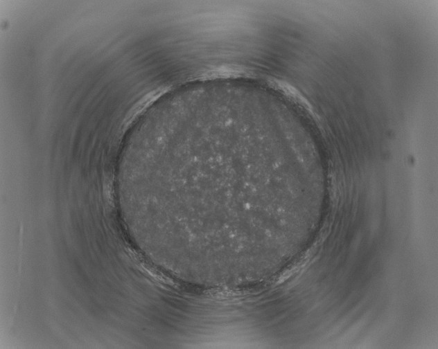 X0000070341217200606301732