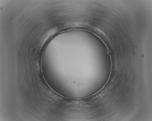 X0000070341218200606301732