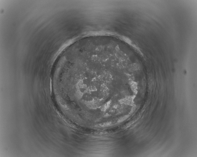 X0000070341221200606301732