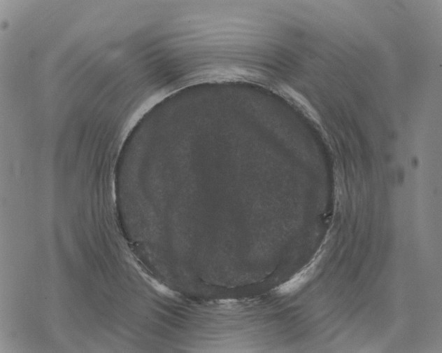 X0000070341226200606301732