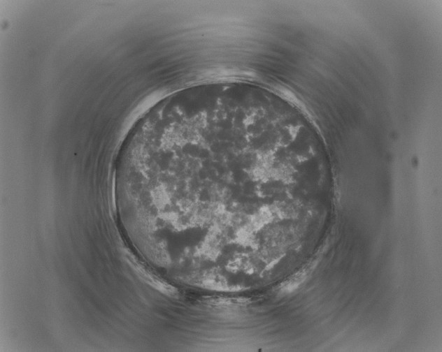 X0000070341227200606301732