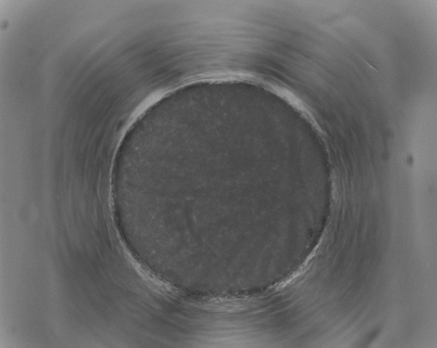 X0000070341229200606301732