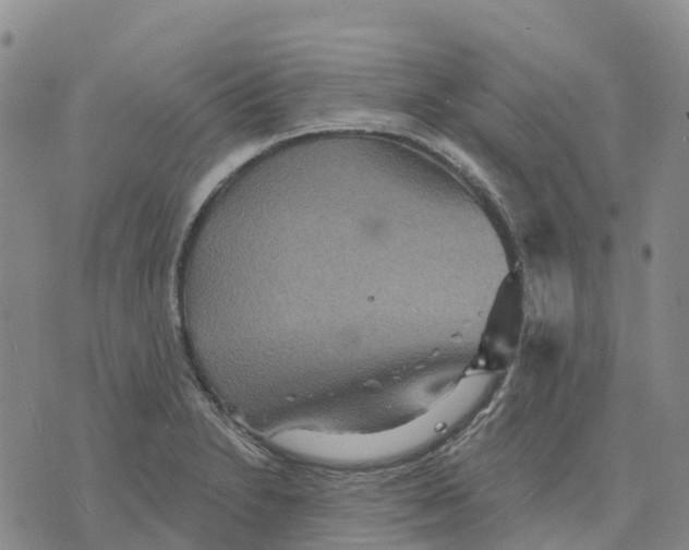 X0000070341230200606301732