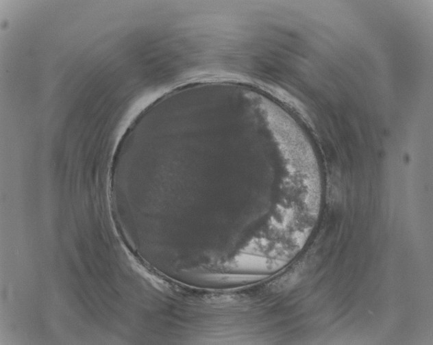 X0000070341231200606301732