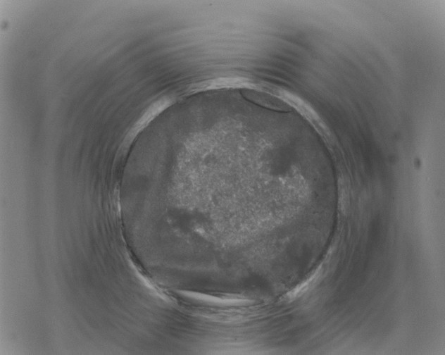 X0000070341241200606301733