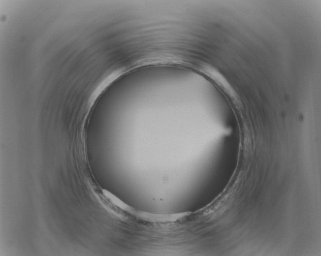 X0000070341242200606301733