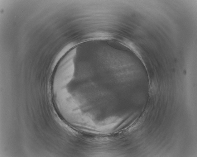 X0000070341243200606301733