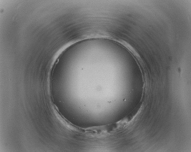 X0000070341246200606301733