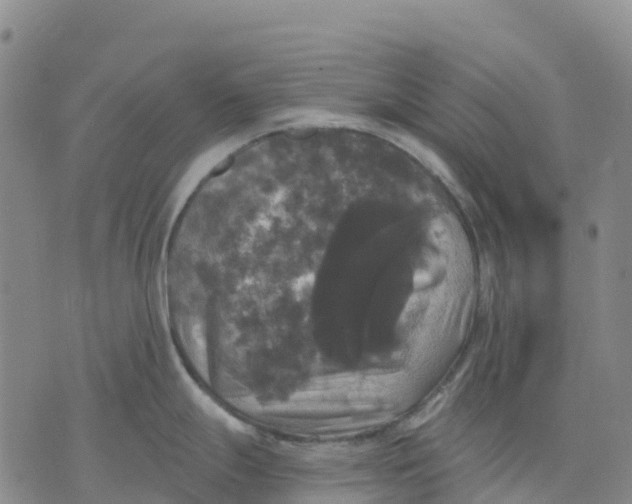 X0000070341247200606301733