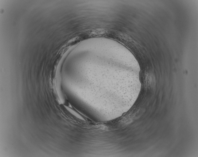 X0000070341250200606301732