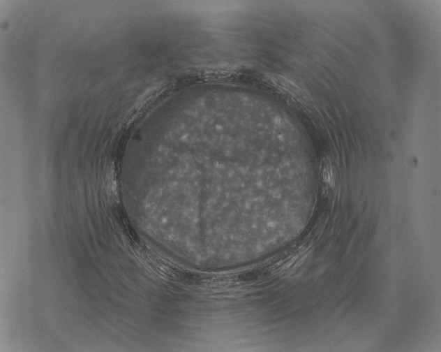 X0000070341252200606301732