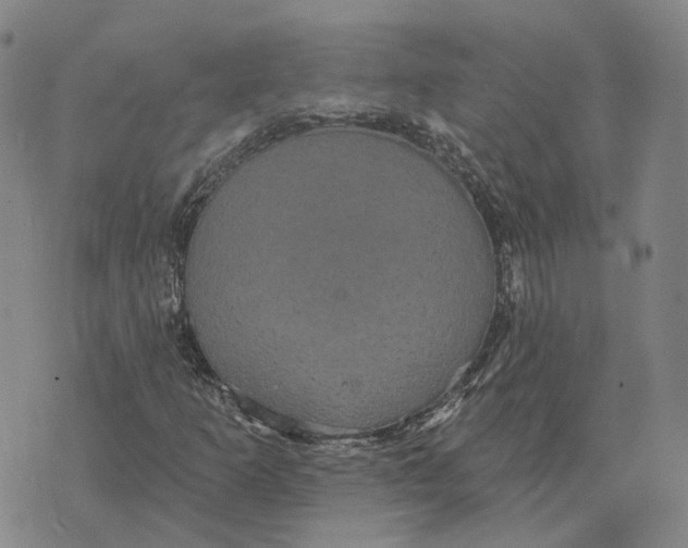 X0000070341253200606301732