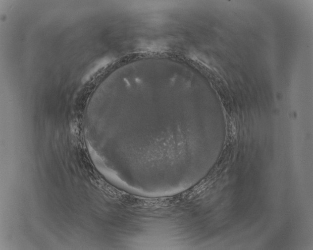 X0000070341254200606301732