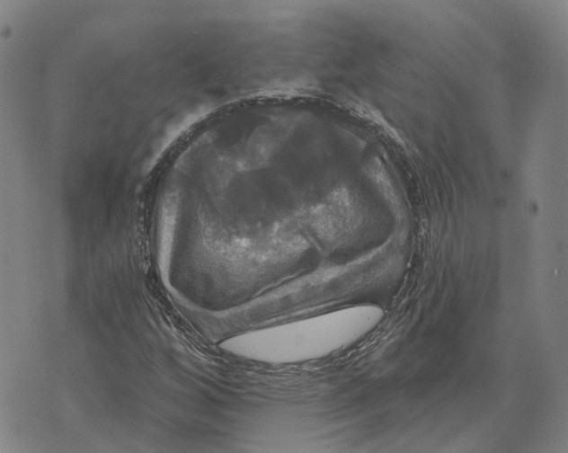 X0000070341256200606301732