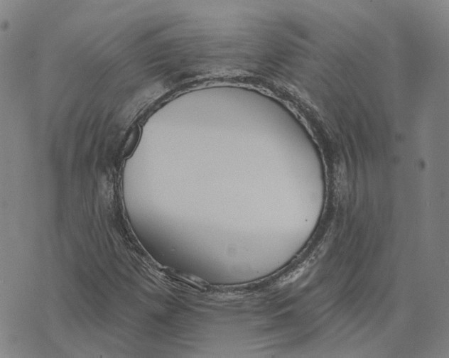 X0000070341257200606301732