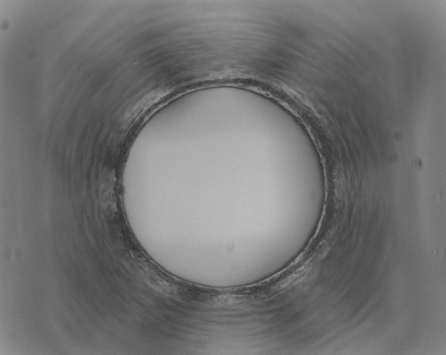 X0000070341265200606301732