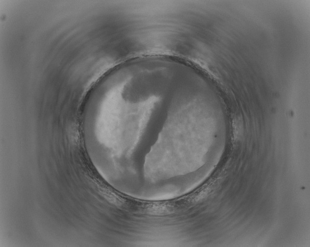 X0000070341266200606301732