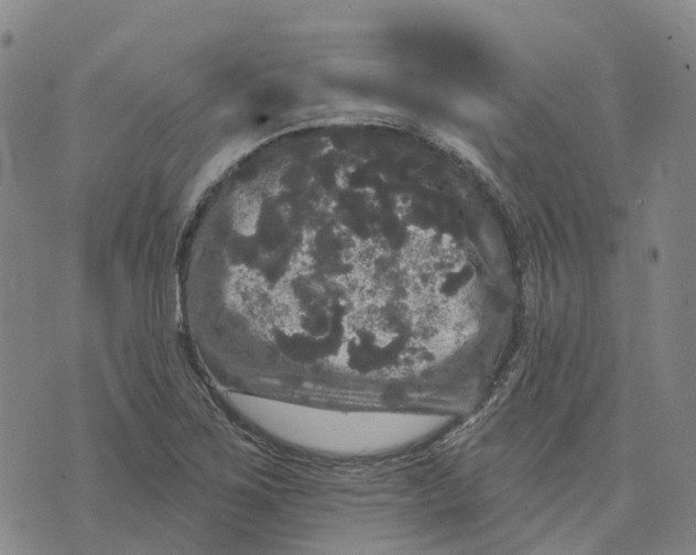 X0000070341267200606301732