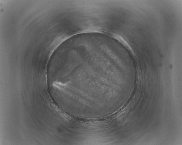 X0000070341268200606301732