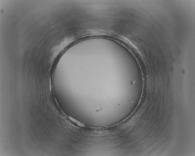 X0000070341269200606301732