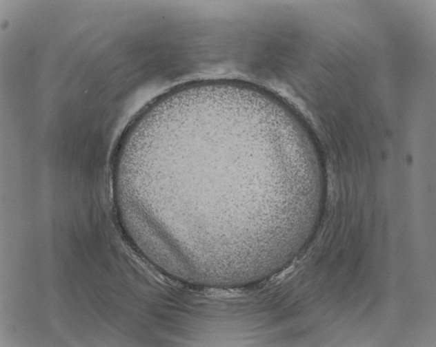 X0000070341270200606301732