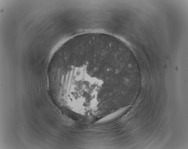 X0000070341271200606301732