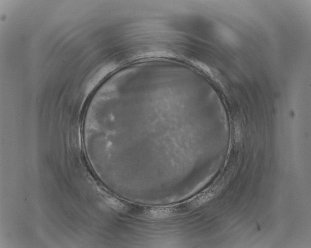 X0000070341274200606301732