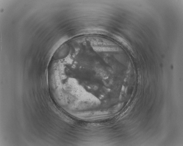 X0000070341275200606301732