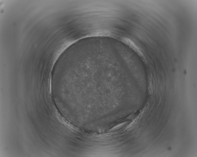 X0000070341276200606301732