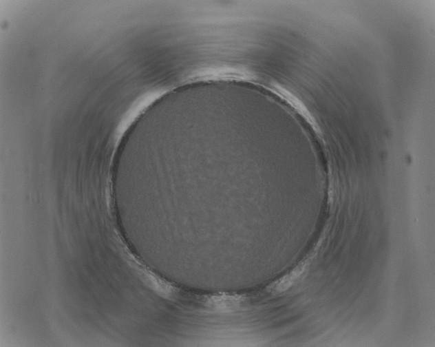 X0000070341277200606301732