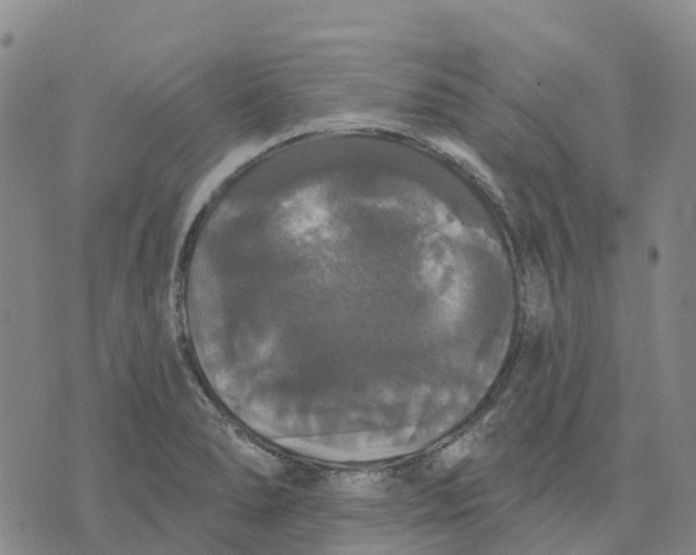 X0000070341278200606301732