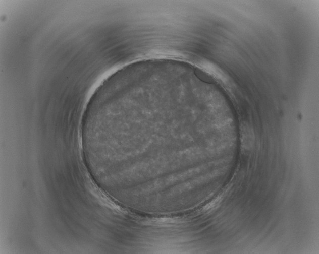 X0000070341280200606301731