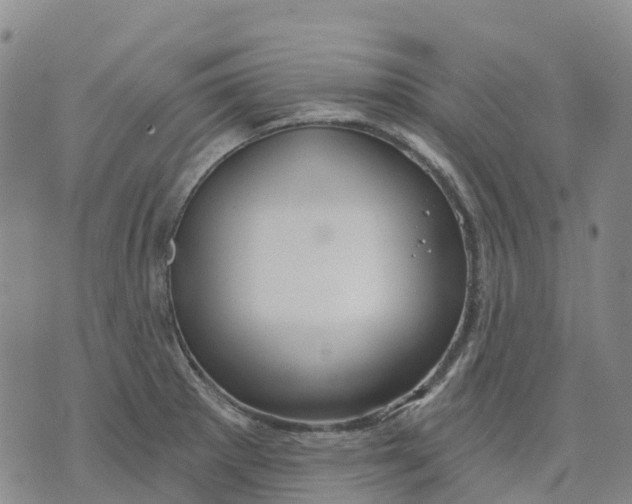 X0000070341281200606301731