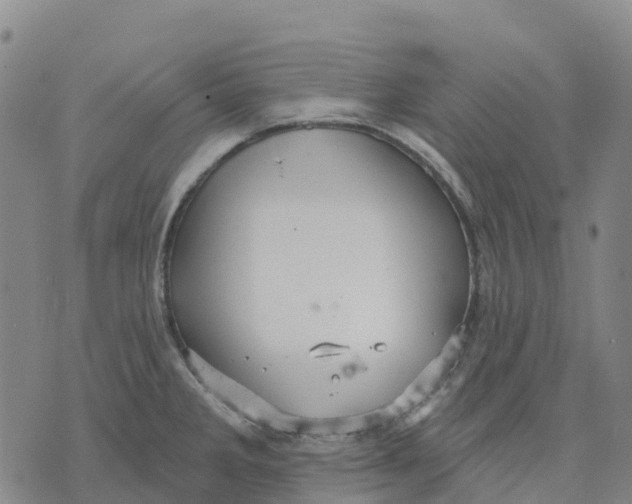 X0000070341285200606301731