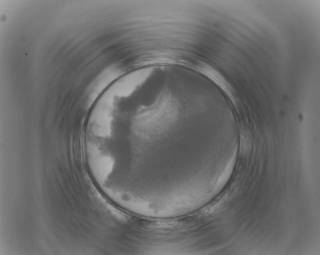 X0000070341290200606301731