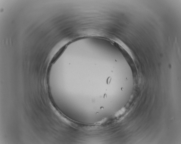 X0000070341293200606301731