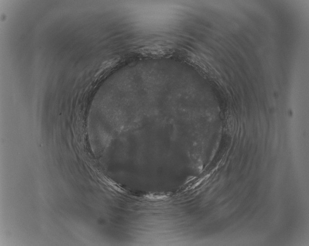 X0000070341297200606301730