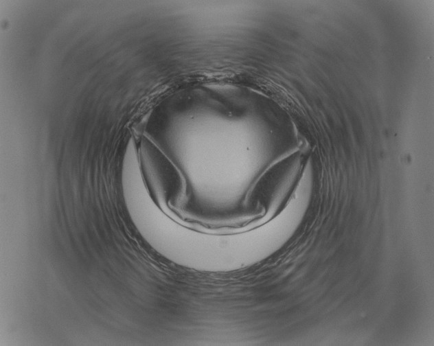 X0000070341298200606301730