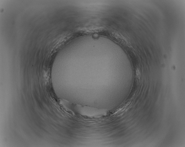 X0000070341300200606301730