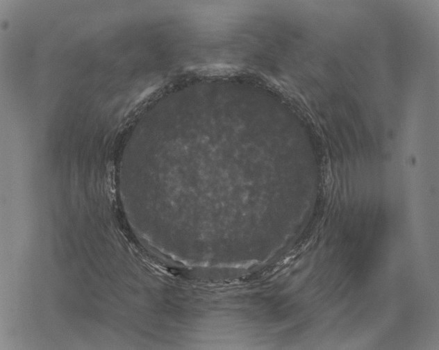 X0000070341301200606301731