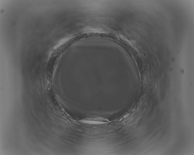 X0000070341303200606301731