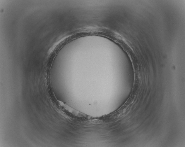 X0000070341304200606301731