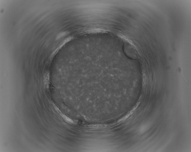 X0000070341305200606301731