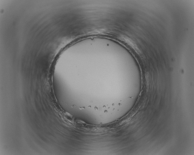 X0000070341308200606301731