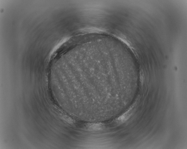 X0000070341309200606301731